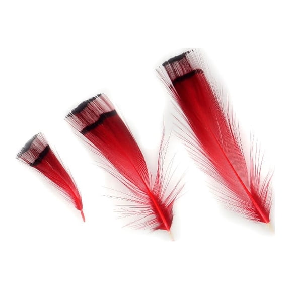 Pheasant Golden Crest Plumage 1-3.5" Red