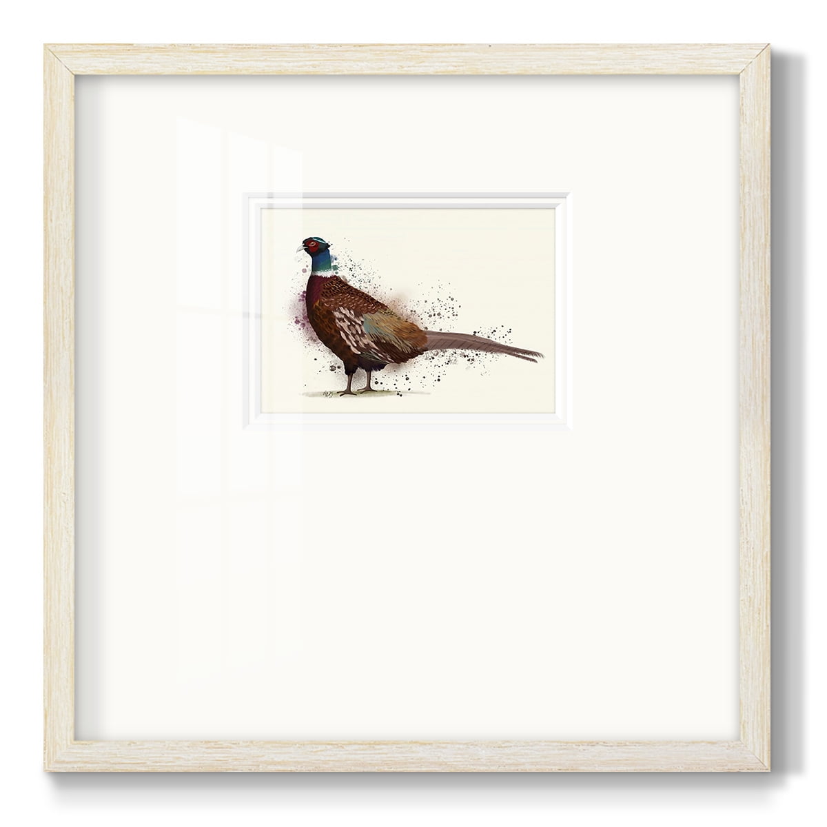 Pheasant Splash 1Premium Framed Print