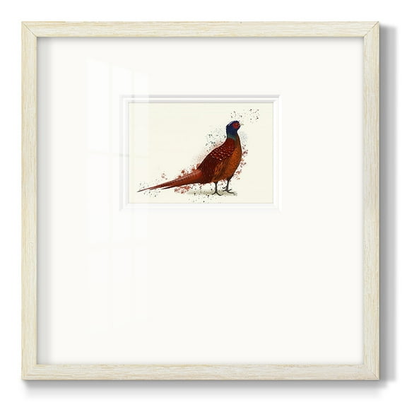 Pheasant Splash 4Premium Framed Print