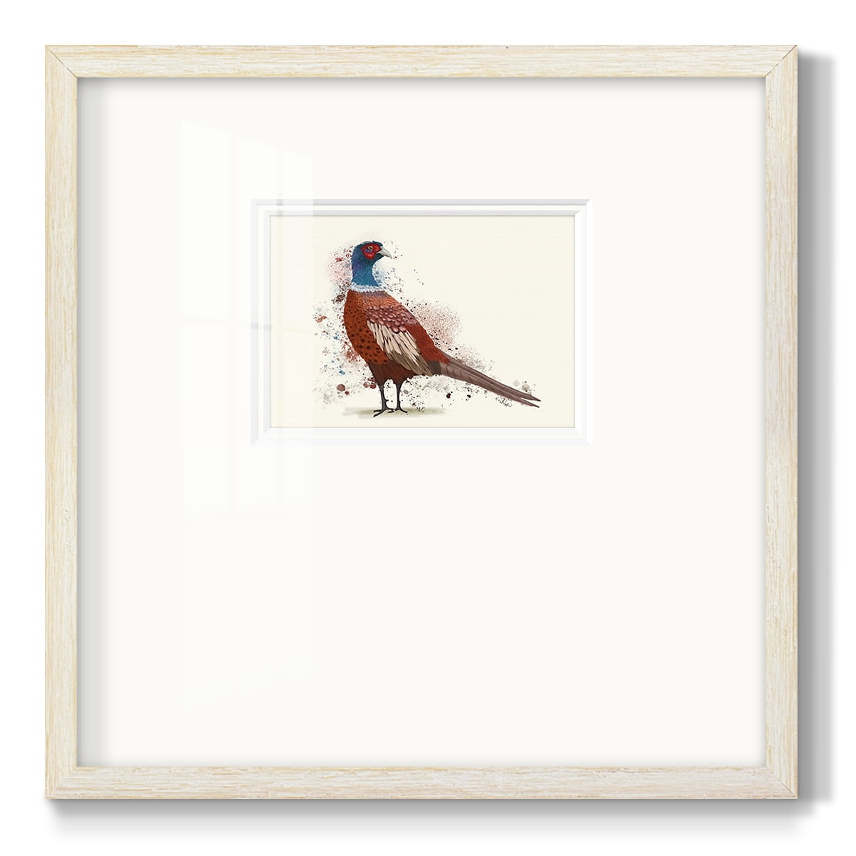 Pheasant Splash 5Premium Framed Print