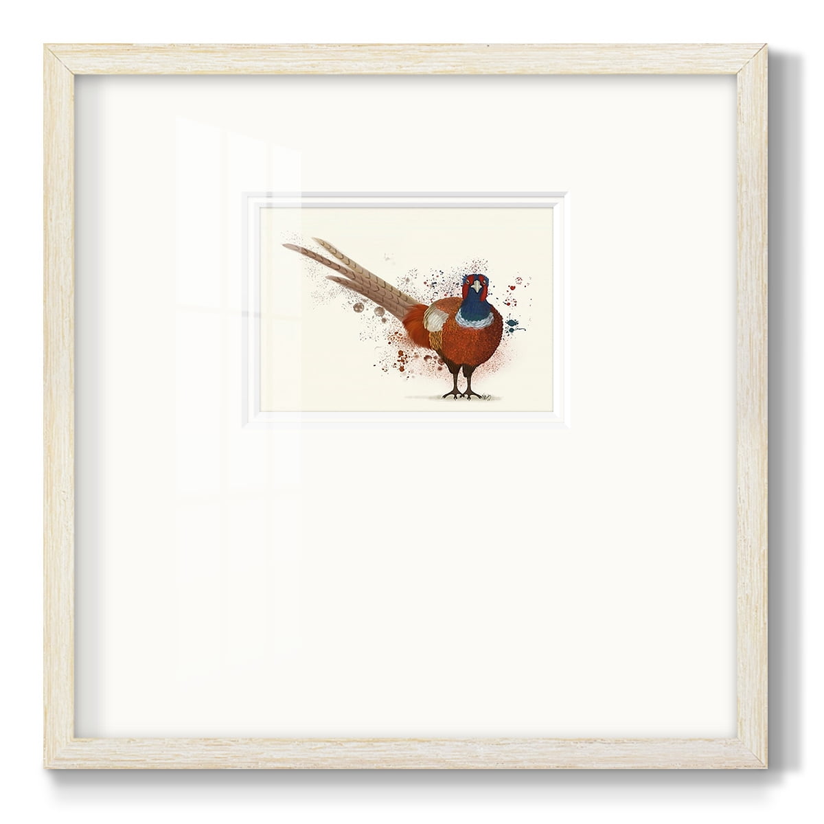 Pheasant Splash 7Premium Framed Print