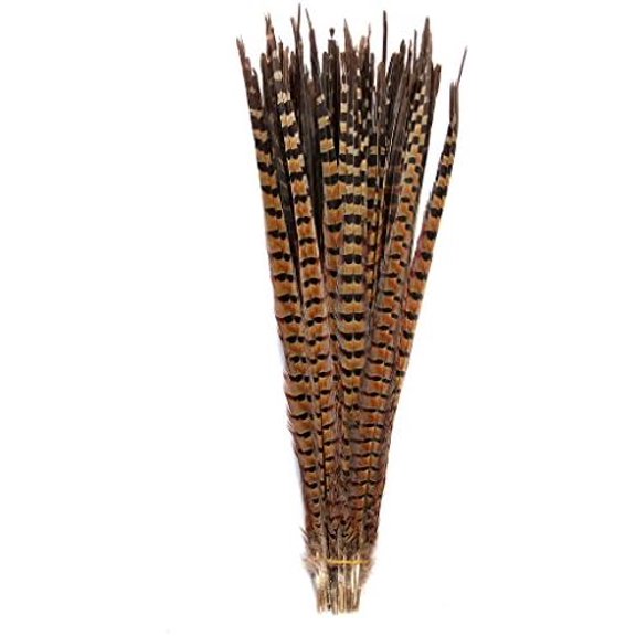 Pheasant Tails Feathers,10Pcs Plume Products Assorted Natural Feathers,About 20-22 inches,50-55cm Long$$Art & Craft