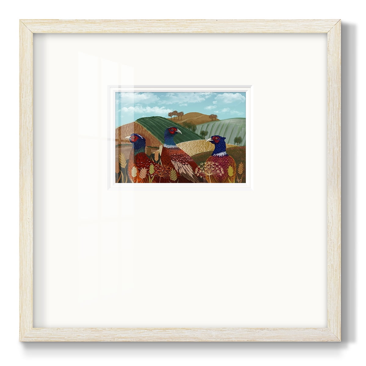 Pheasant Trio in FieldPremium Framed Print