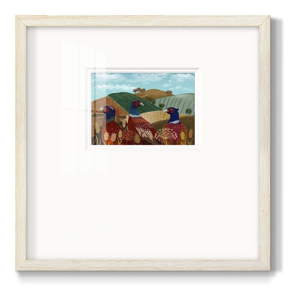 Pheasant Trio in FieldPremium Framed Print
