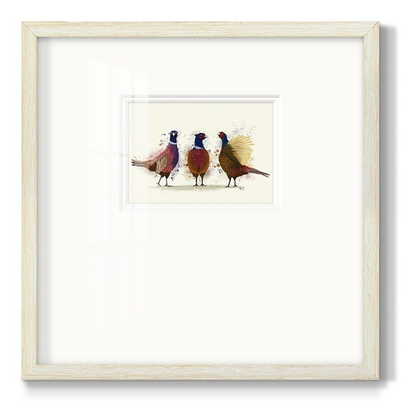 Pheasant TrioPremium Framed Print