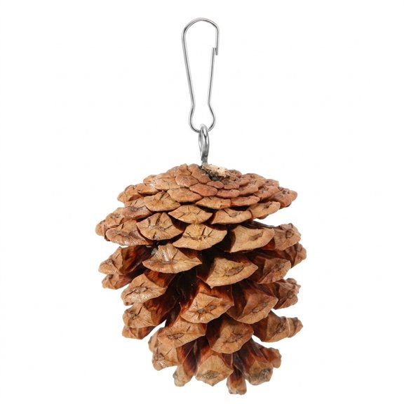 Phenofice 10Pcs Hanging Cage Toy Natural Pine Cone Bird Chewing Toy Funny Parrot Activity