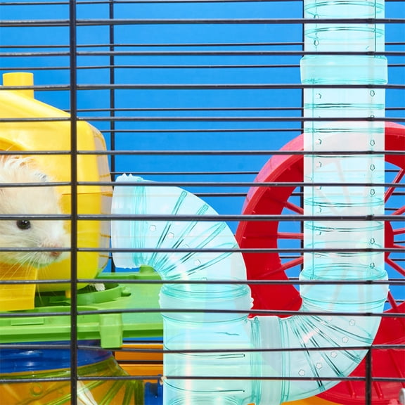 Phenofice 3- Plastic Hamster Tubes for Pet Play, Exercise, and Small Animal Enrichment
