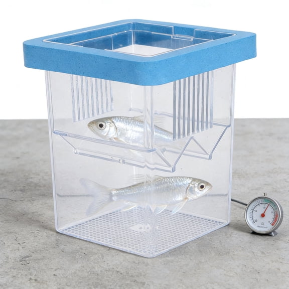 Phenofice Aquarium Floating Isolation Box with High Air , Perfect for Fish Breeding and Aquatic Separation