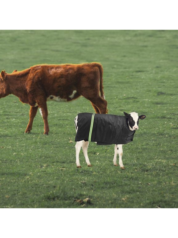 Thickened Black Reflective Cow Calf Cotton Vest Warm Winter Coat for 1.5-3 Months Calves
