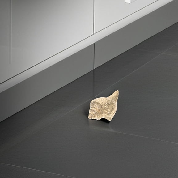 Phenofice Decorative Brass Drawer Pull Handle with Smooth Finish and Nautical Conch Design for Home