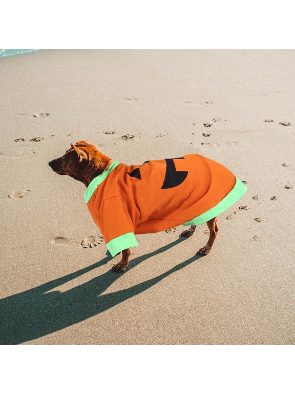Pumpkin Dog Clothes Pet Vest Cotton Orange 1Pack for Pets