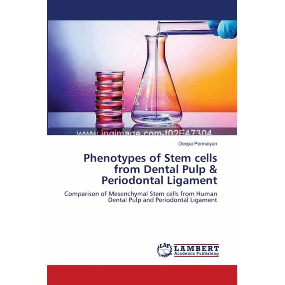 Phenotypes of Stem cells from Dental Pulp & Periodontal Ligament (Paperback)