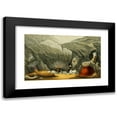 thumbnail image 1 of Philip Henry Gosse 24x16 Black Modern Framed Museum Art Print Titled - Phellia Gausapata, P. Murocincta, Gregoria Window, Bunodes Crowned (1860), 1 of 1