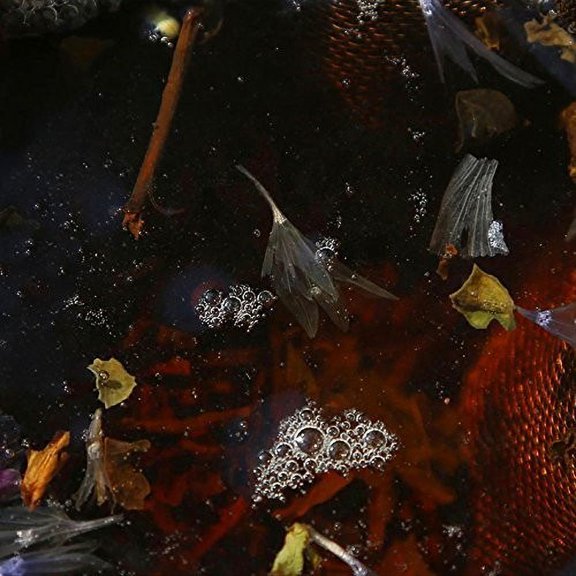 Philippe Petit & Friends - On Top - CD