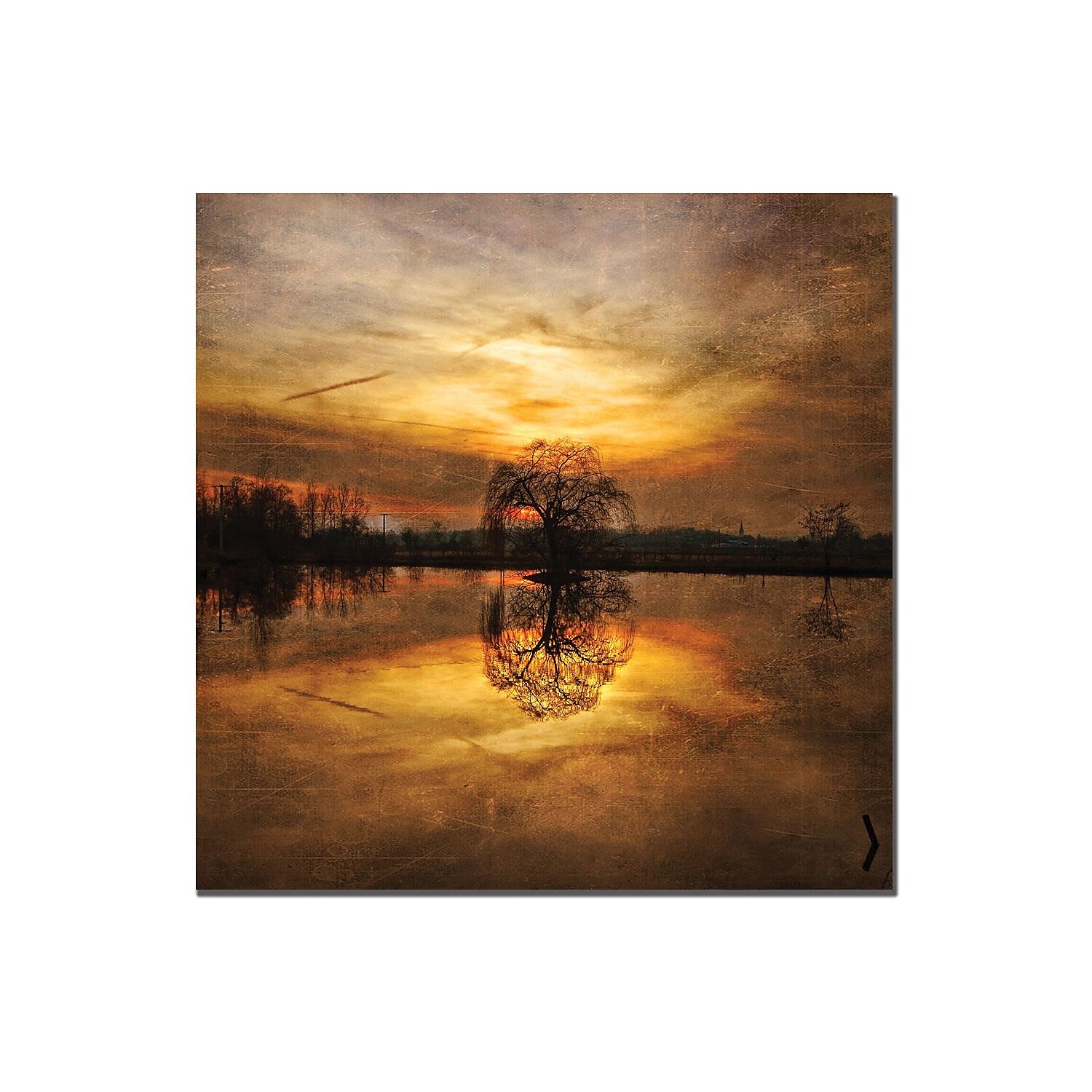 Philippe Sainte-Laudy 'Ball Gold' Canvas Art