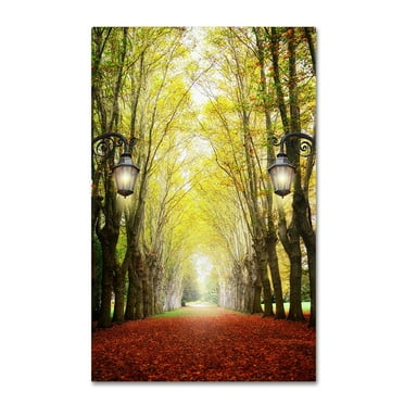 Philippe Sainte-Laudy 'Plane Tree Alley' Canvas Art