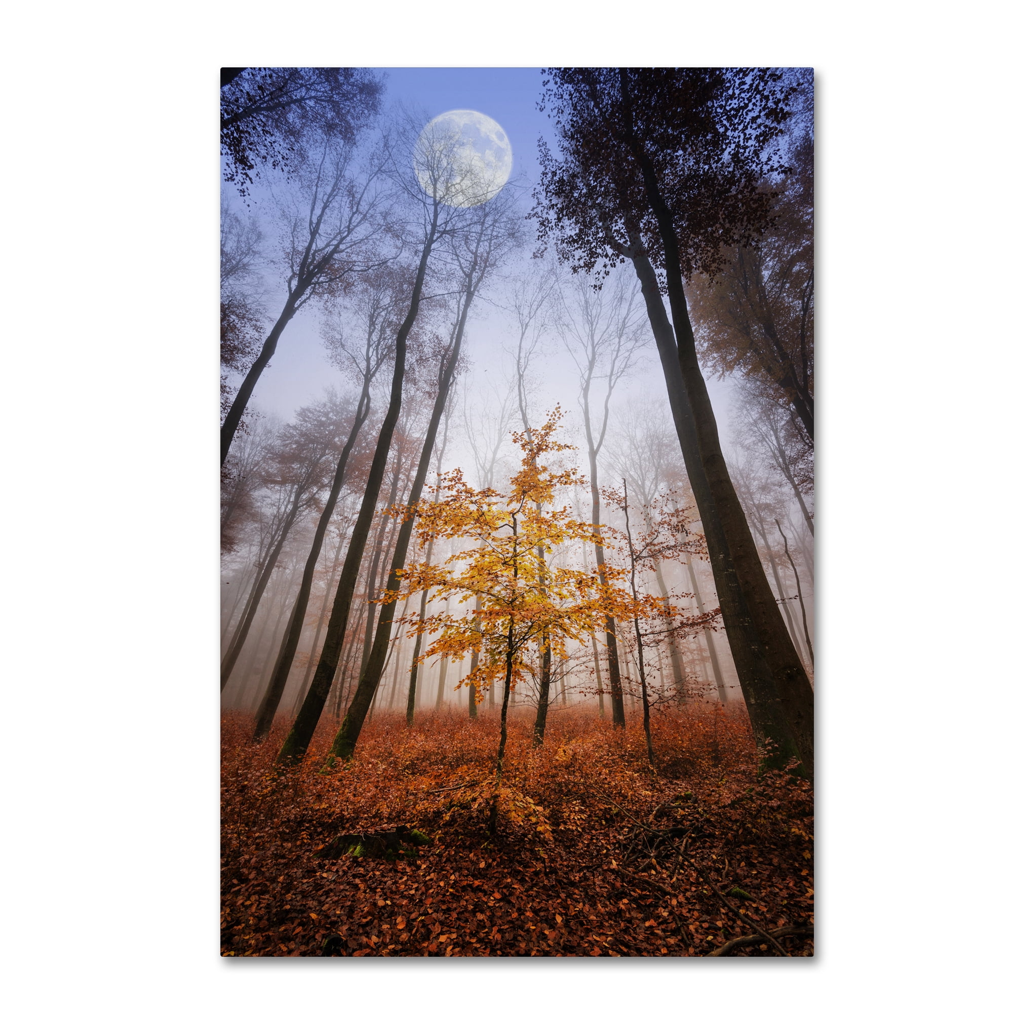 Philippe Sainte-Laudy 'Sentinel' Canvas Art