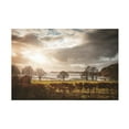 thumbnail image 1 of Philippe Sainte Laudy 'Winter Light Photograph' Canvas Art, 1 of 3