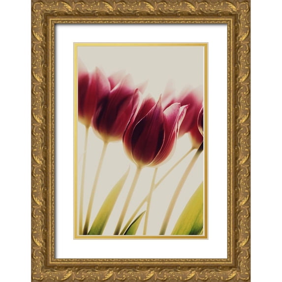 Philippin-Lipscomb, Rosalinde 13x18 Gold Ornate Wood Framed with Double Matting Museum Art Print Titled - Tulips