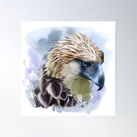 Philippine Eagle Poster Wall Art, Modern Wall Decor For Living Room Bedroom, 17x17 UNFRAMED