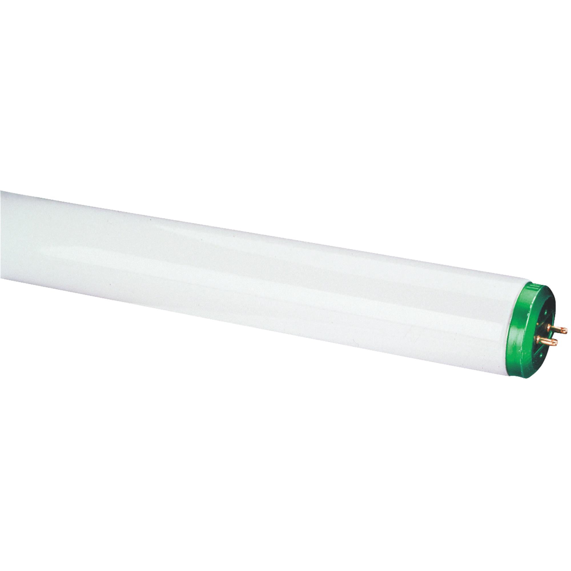 Ampoule IR PAR PHILIPS 100 W blanche