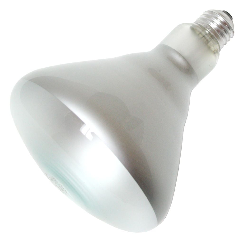 Philips 225375 65BR/FL60 130V Reflector Flood Light Bulb