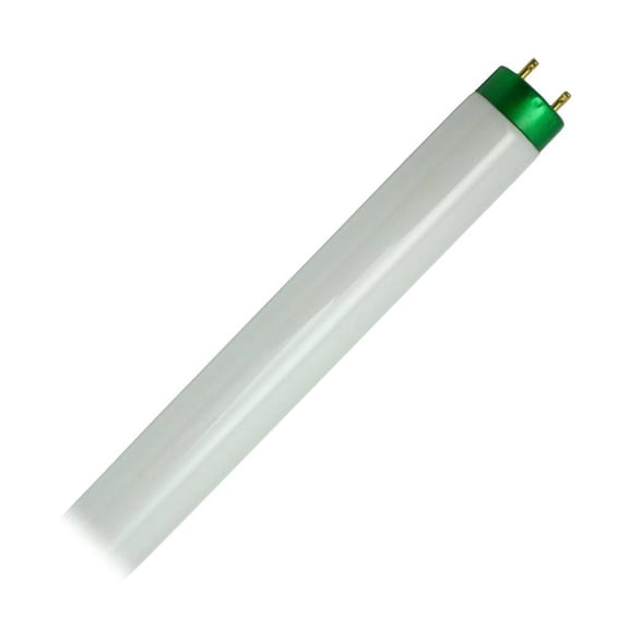 Philips 479634 - F32T8/TL950/ALTO 4 Foot Plus Straight T8 Fluorescent Tube Light Bulb