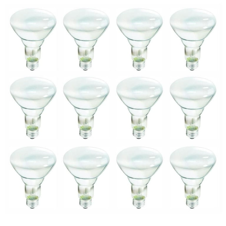 Philips 65-Watt Incandescent BR30 Flood Light Bulb Soft White (2700K) (12-Pack) Philips 65-Watt Incandescent BR30 Flood Light Bulb Soft White (2700K) (12-Pack)