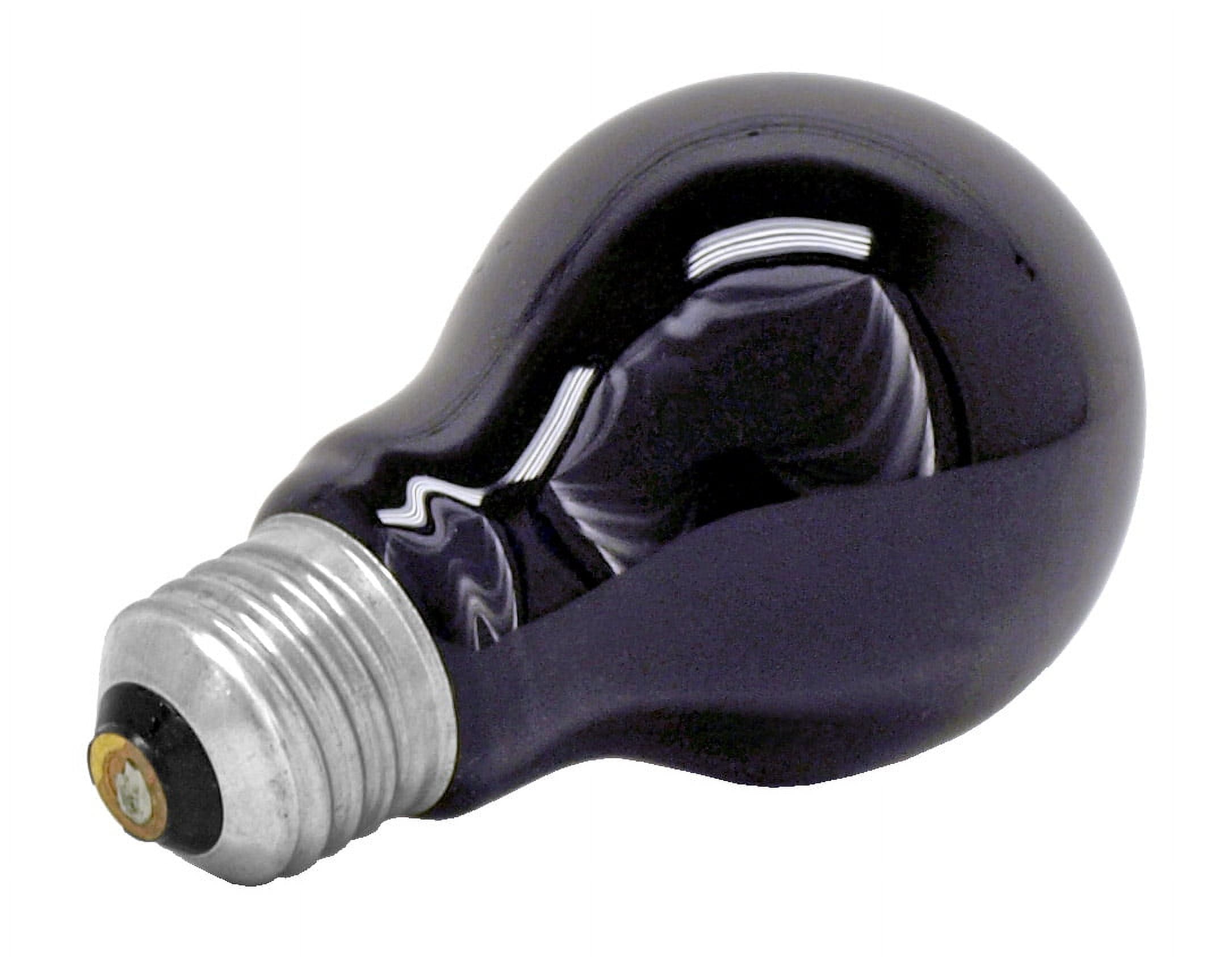 Philips A19 75W Blacklight Light Bulb, Great for Parties and Decoration