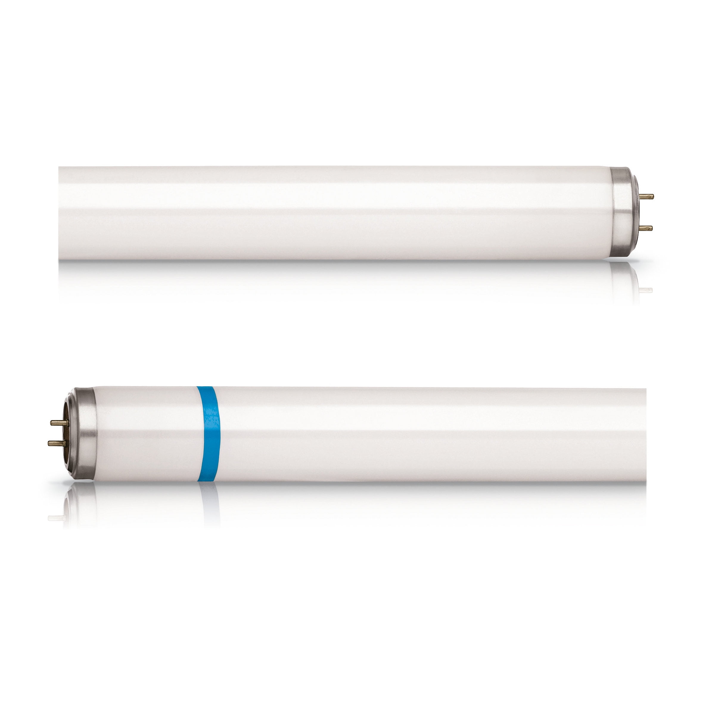 Philips Actinic BL TL-D 15W/10 Secura 18in. Blacklight Tube Insect Trap Lamp