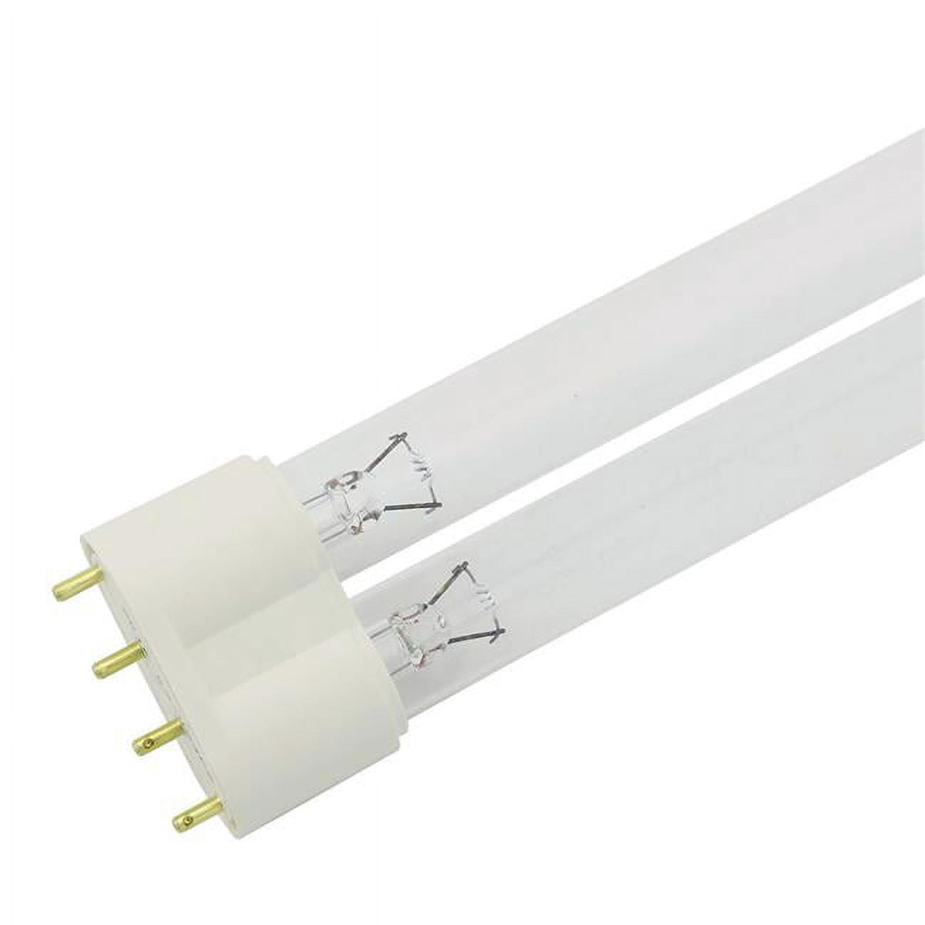 Lampadina ricambio per Lampada di Sale - E14|T25 - 15w luce calda – clorophilla-shop