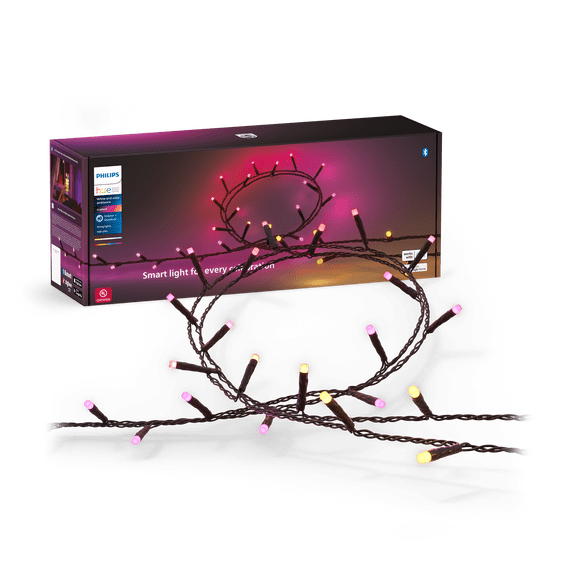 Philips Hue Festavia string lights 500LEDs