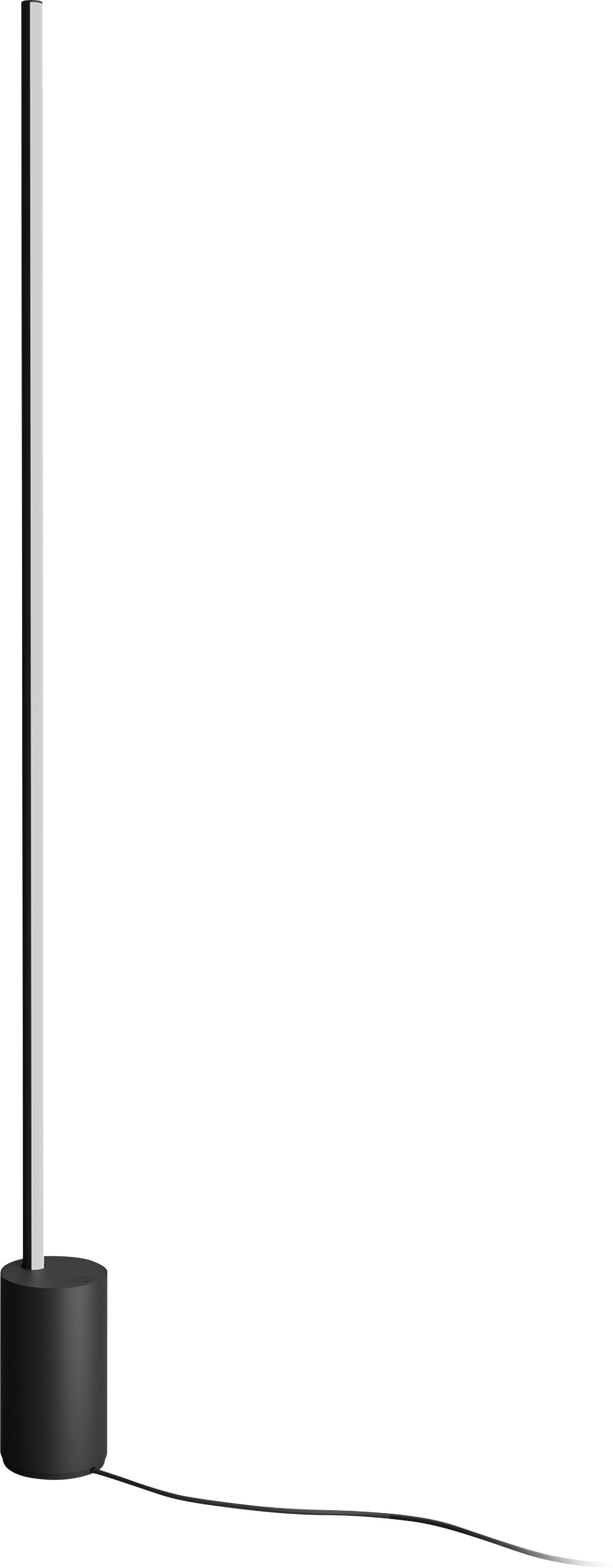 Black Aluminum Voice-Controlled LED Floor Lamp with Bluetooth