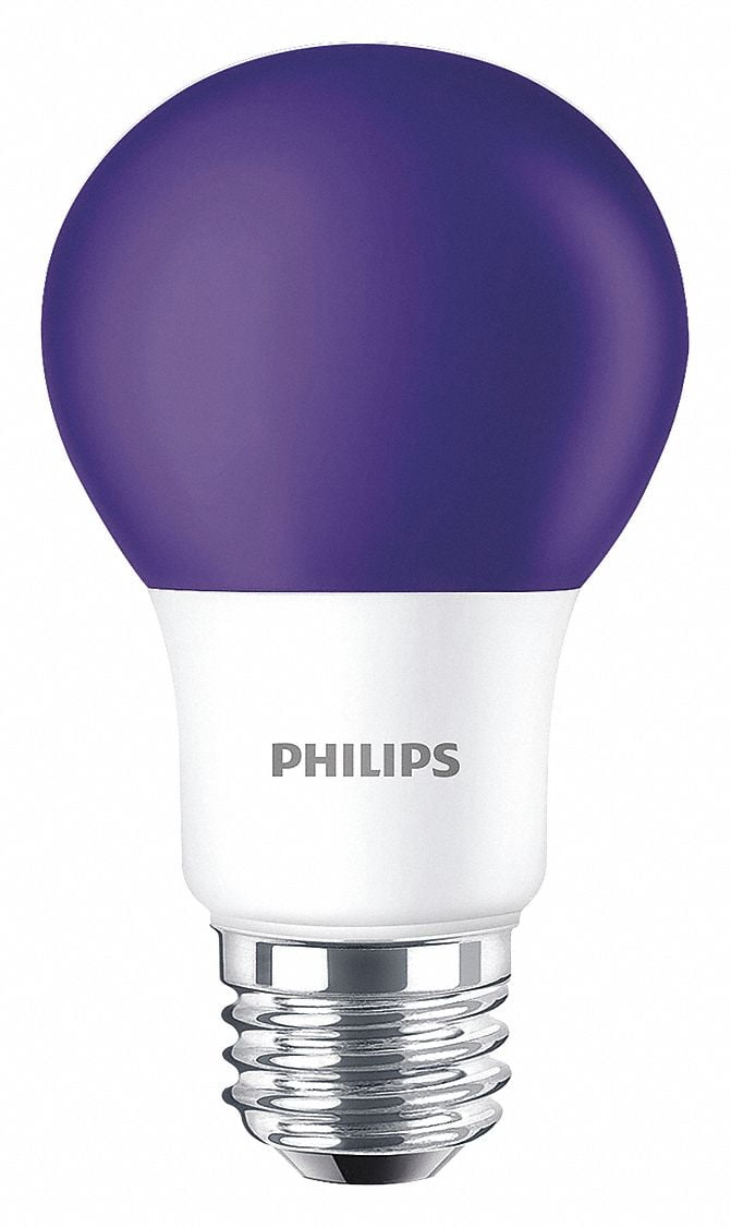 Jernbanestation Grundlæggende teori markør Philips Lighting LED Bulb,A19,3000K,60 lm,8W 8A19/LED/PURPLE/P/ND 120V  6/1BC - Walmart.com