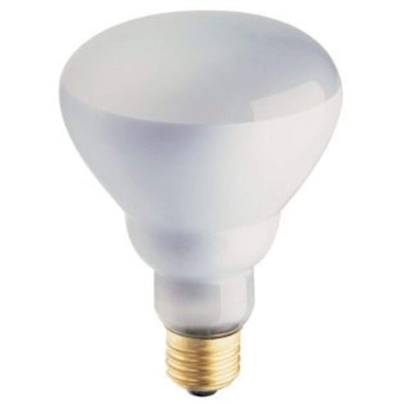 Philips Phillips Soft White 65-Watt BR30 Indoor Flood Light Bulb, (12 Pack)