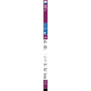 Philips Plug and Play 4Ft (48-inch) Type A T8/T12 Daylight Deluxe 32-Watt LED Tube Light (2 Pack)