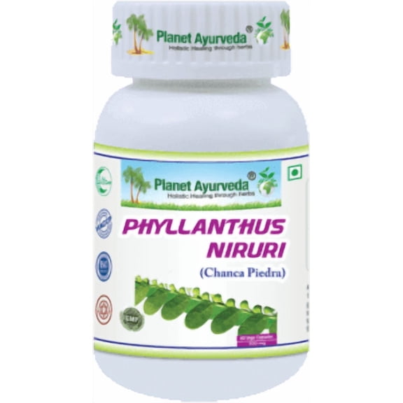 Phillanthus Niruri