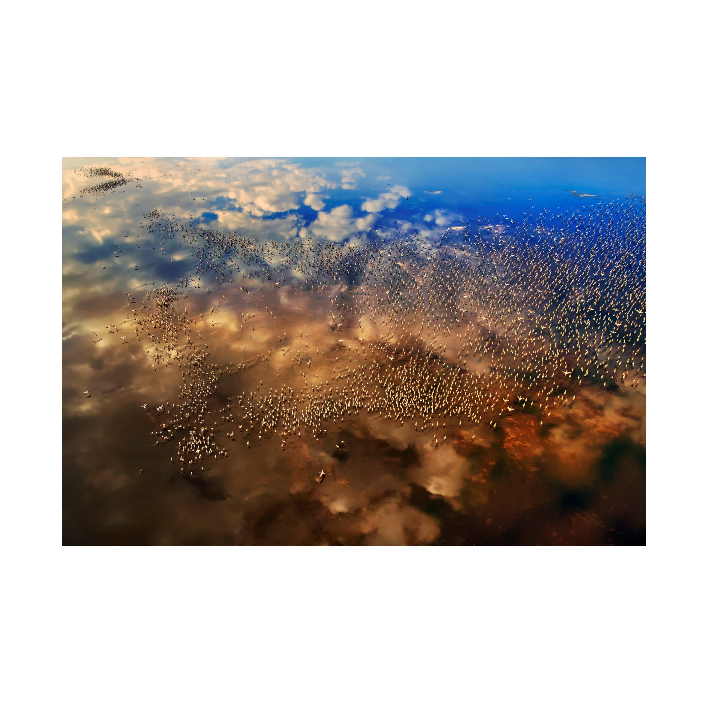 Phillip Chang Flamingos Over The Clouds Landscape Canvas Art