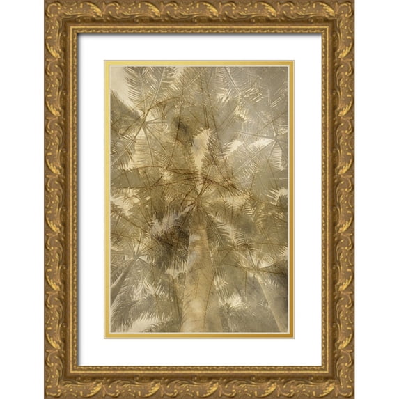 Phillip, Jamie 11x14 Gold Ornate Wood Framed with Double Matting Museum Art Print Titled - Golden Palm