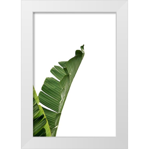 Phillip, Jamie 11x14 White Modern Wood Framed Museum Art Print Titled - Banana Leavesa