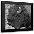 thumbnail image 1 of Phillip, Jamie 12x12 Black Modern Framed Museum Art Print Titled - Buffalo Baby 2, 1 of 5