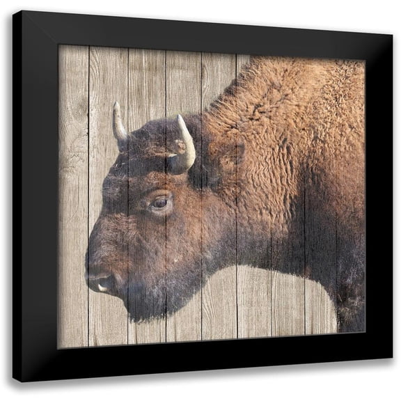 Phillip, Jamie 12x12 Black Modern Framed Museum Art Print Titled - Buffalo Bison