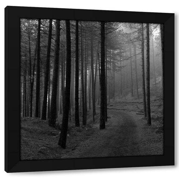 Jamie Phillip 12x12 Black Modern Wood Framed Wall Art Titled - Forest 2