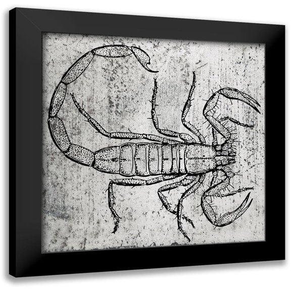 Phillip, Jamie 12x12 Black Modern Framed Museum Art Print Titled - Spring Bug 1