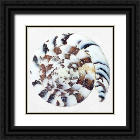 Phillip, Jamie 12x12 Black Ornate Wood Framed with Double Matting Museum Art Print Titled - Deep Sea Treasure 2