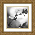 thumbnail image 1 of Phillip, Jamie 12x12 Gold Ornate Wood Framed with Double Matting Museum Art Print Titled - Blooming Black, 1 of 4