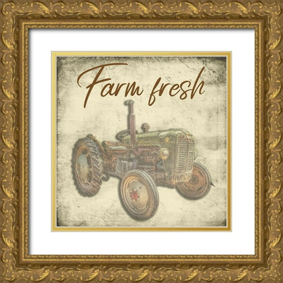 Phillip, Jamie 12x12 Gold Ornate Wood Framed with Double Matting Museum Art Print Titled - Fresh