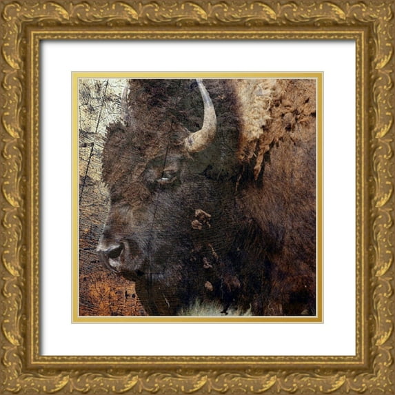 Phillip, Jamie 12x12 Gold Ornate Wood Framed with Double Matting Museum Art Print Titled - Mr.Buffalo
