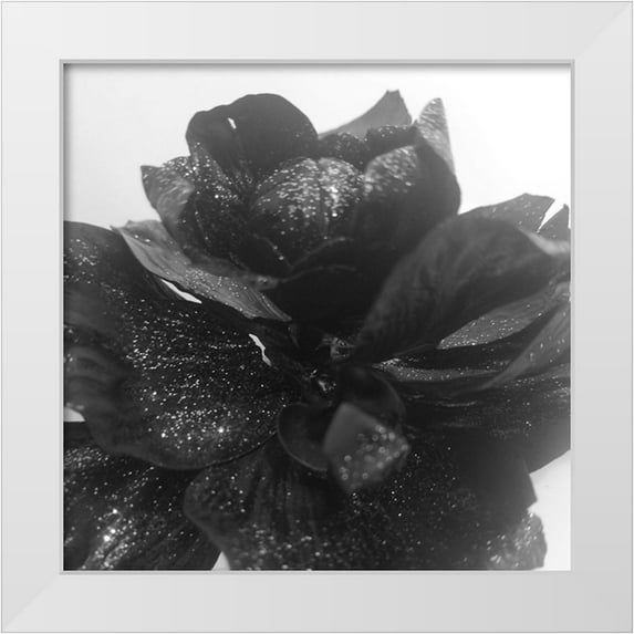 Phillip, Jamie 12x12 White Modern Wood Framed Museum Art Print Titled - Black Rose Gold