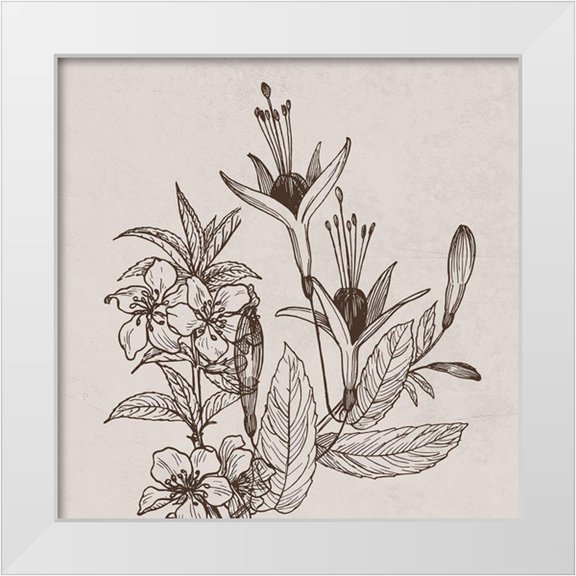 Phillip, Jamie 12x12 White Modern Wood Framed Museum Art Print Titled - Botanical Roots